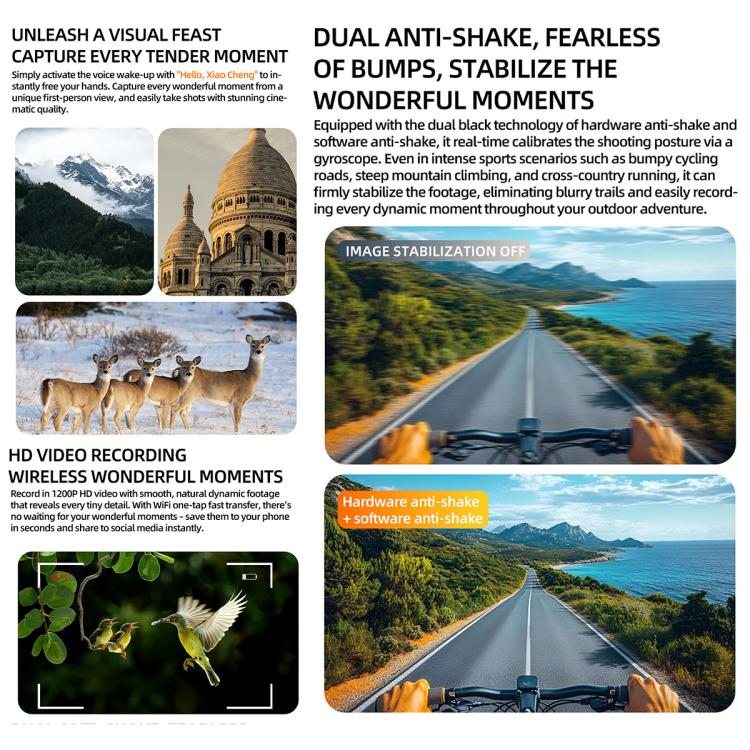 EDA0091030_B4.jpg@81e685226cf92ef9c473972441ed0e66